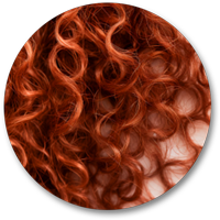 Closeup of curly 3B hair curl pattern